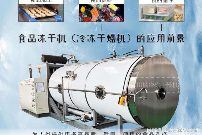 ：食品保鲜的高效解决方案九游会j9登录冻干技术