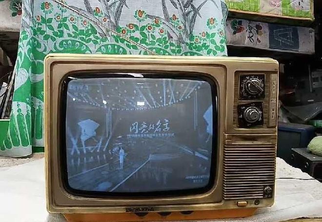 金花如今三家易主只剩下一家成为一线品牌九游会j9入口登录新版中国冰箱界的四朵(图11)